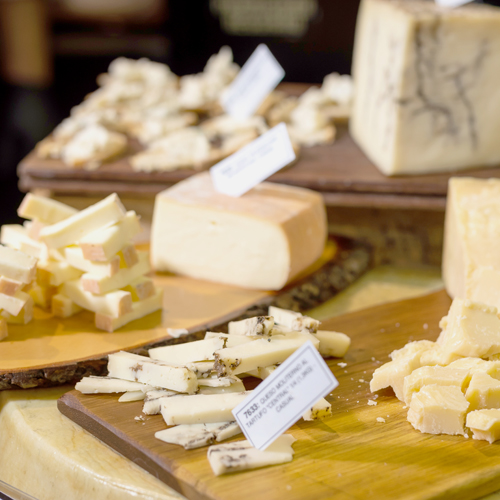 Subcategoria-Slide-Fotos-Vaca-Cheesepeante4