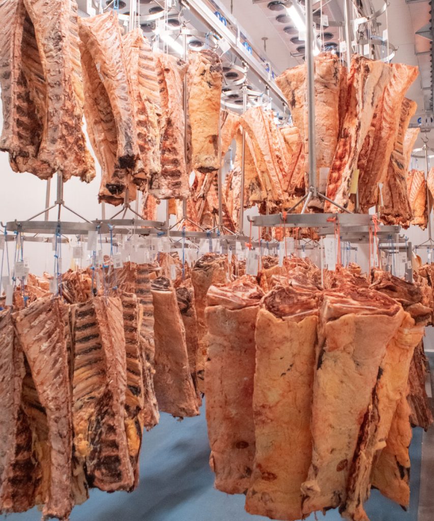 carn madurada a lleida